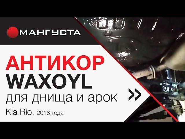 Антикор Waxoyl для днища и арок - это надежная, многолетняя защита автомобиля от коррозии!