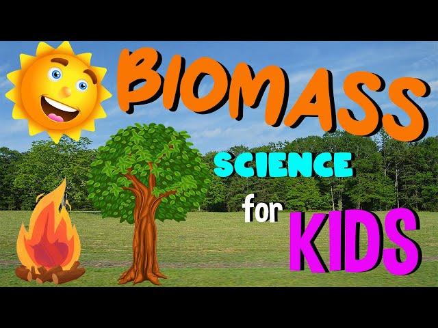 What is Biomass | Science for Kids