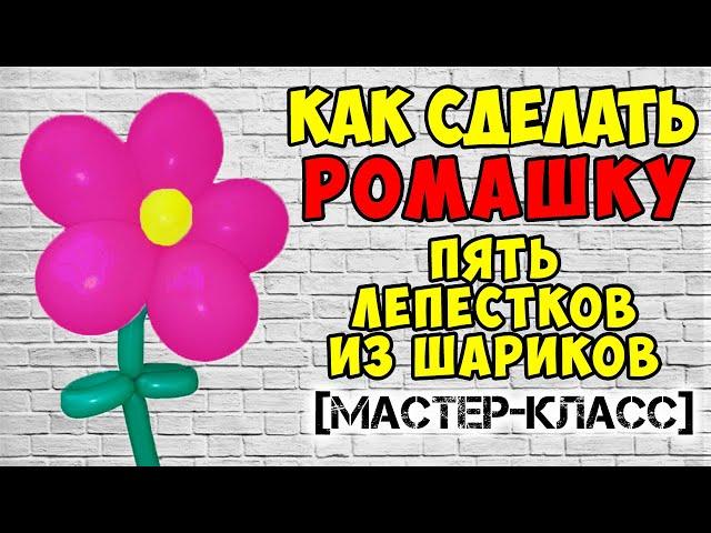 Ромашка из 5 лепестков своими руками. Как сделать ромашку из воздушных шаров