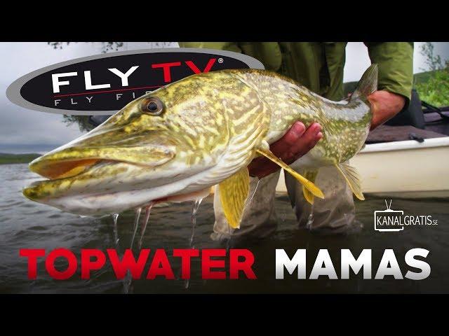 FLY TV - Topwater Mamas (Pike Fly Fishing in the Mountains)