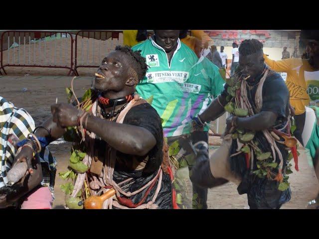 Lutte : Regarder le touss de Mama Lamine à l'arène national