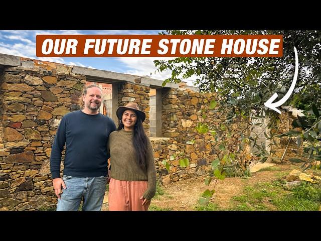 Roof, walls and seeds | Stone Farm renovation