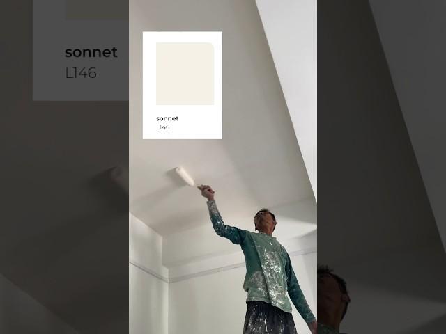 Sonnet L146 by Asian Paint  #asianpaints #L146 #sonnetl146 #notyoursusu #ceilingpainting