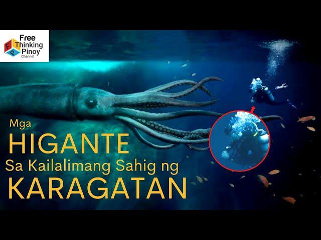 DEEP SEA GIGANTISM explained | Bakit Malaki Ang Mga Hayop sa ilalim ng dagat?