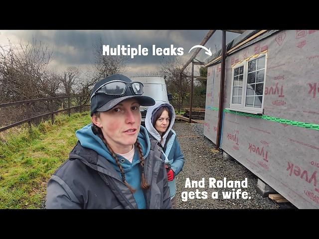 Is our DIY timber cabin ruined - rain gets in! (and Roland has friends)