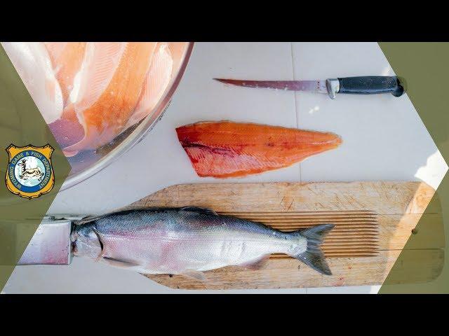 How To Fillet A Fish - Easy Instructions