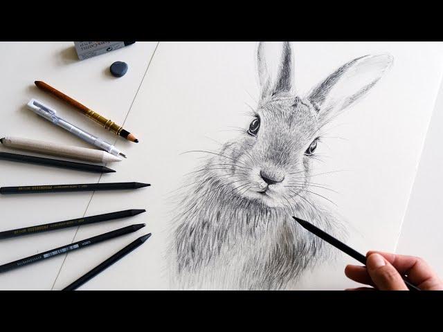 How to draw a beautiful rabbit with pencils