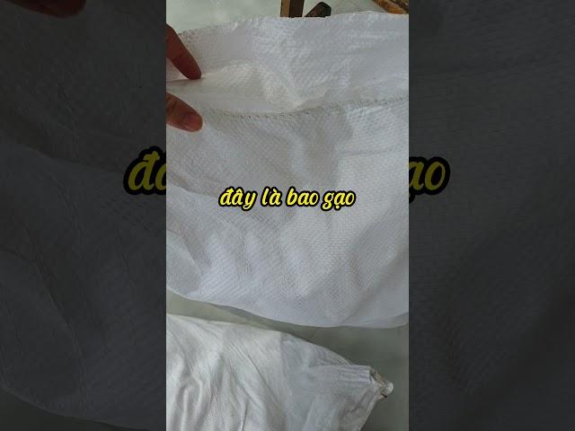 Cách MỞ BAO GẠO