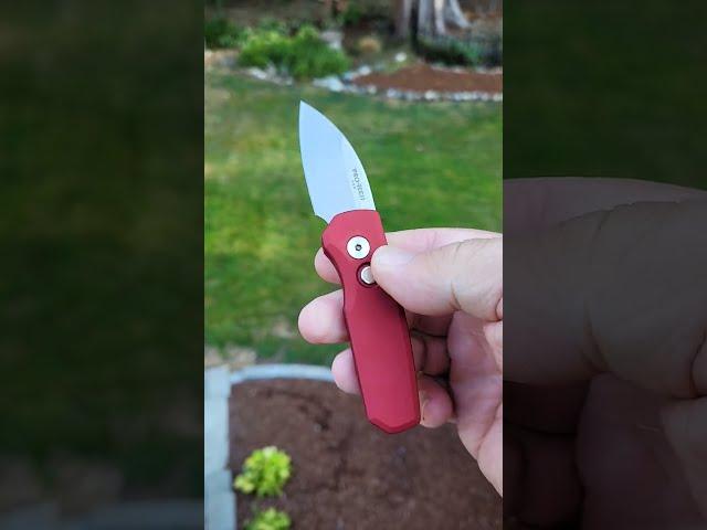 #youtubeshorts Protech Runt : Blade Show West Exclusive  #shorts