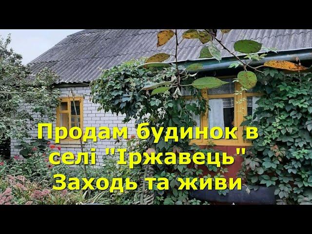 БУДИНОК ПРОДАМ В СЕЛІ "ІРЖАВЕЦЬ", ЗАХОДЬ І ЖИВИ / ОГЛЯД /  Чернігівська обл. Носівський р-н