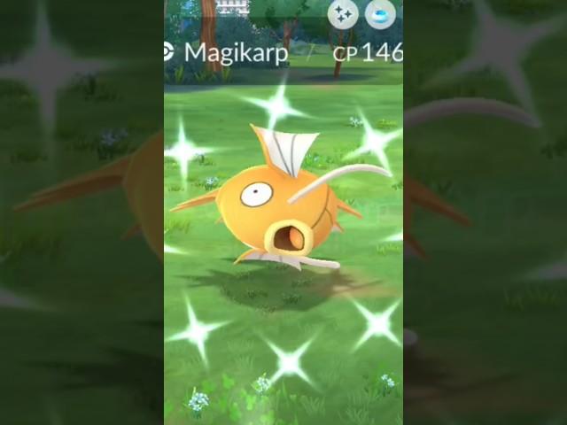 I Got the shiny Magikarp in Pokémon go