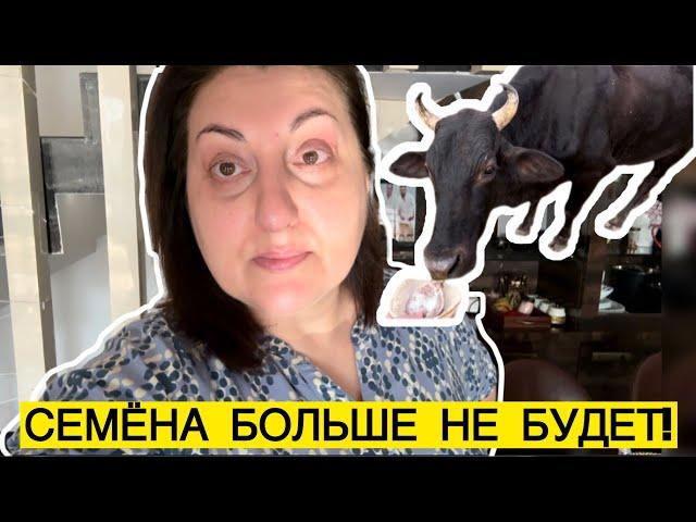 НИЧЕГО НЕ ХОЧЕТСЯ ПОЛНАЯ АПАТИЯ | КАЧЕСТВО ЖИЗНИ В ИНДИИ ХРОМАЕТ