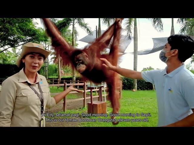 Virtual Tour Bali Zoo