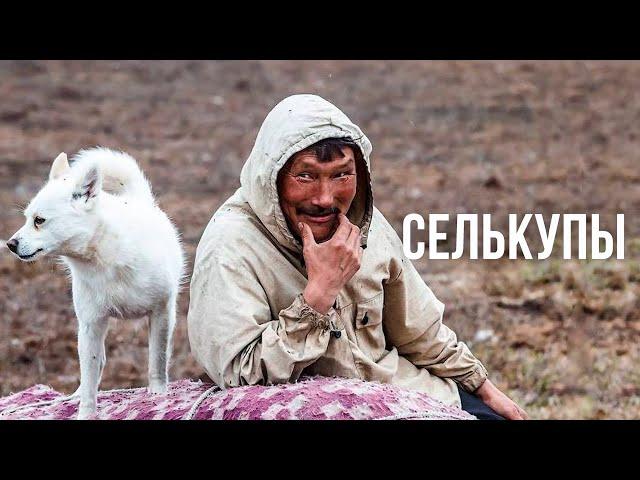 Селькупы - Таежные Люди. Уникальный Народ Севера. История, Жизнь и Быт | Факты