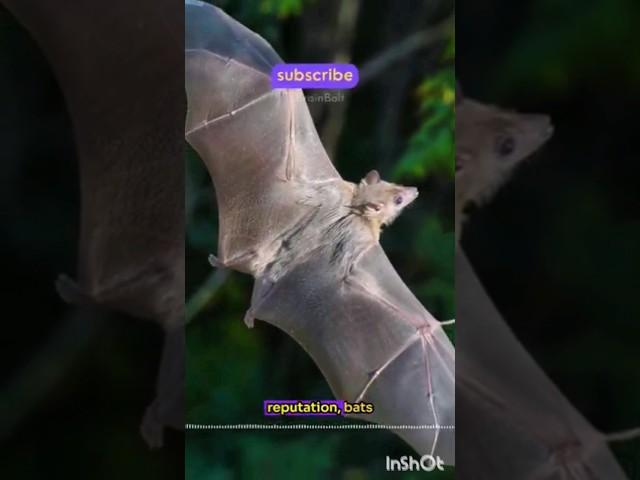 Unlocking the Secrets of Bats: Nature'sNighttime Superheroes! #facts #funfacts#animals