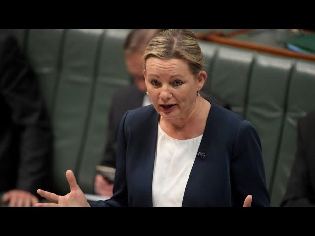 ‘Shut up’: Andrew Bolt hits out at Coalition’s internal bickering