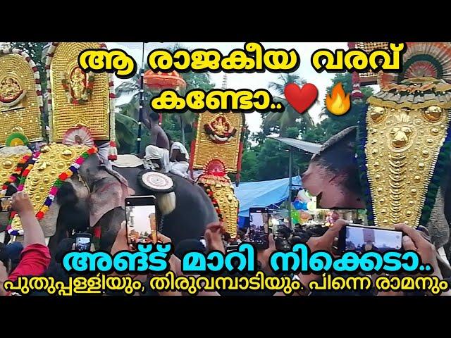 തൂത പൂരത്തിന് രാമരാജാവിന്റെ രാജകീയ വരവ് | തൂത പൂരം 2024 | thootha pooram 2024