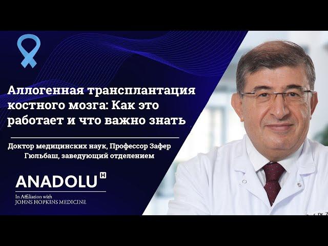 Аллогенная трансплантация костного мозга: Как это работает и что важно знать