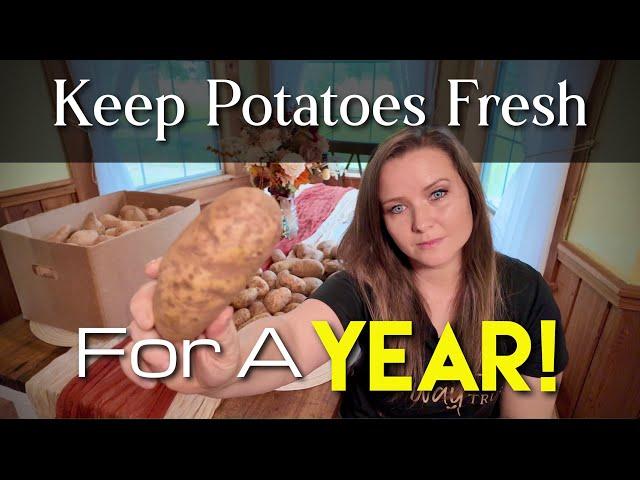 How to Keep Potatoes Fresh for a Year!