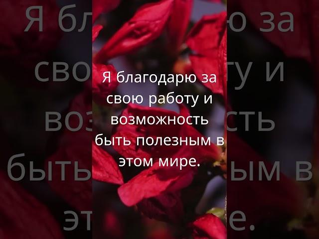  УТРЕННИЕ АФФИРМАЦИИ БЛАГОДАРНОСТИ | МОЩНЫЙ НАСТРОЙ НА УСПЕХ, БОГАТСТВО И ГАРМОНИЮ #аффирмации