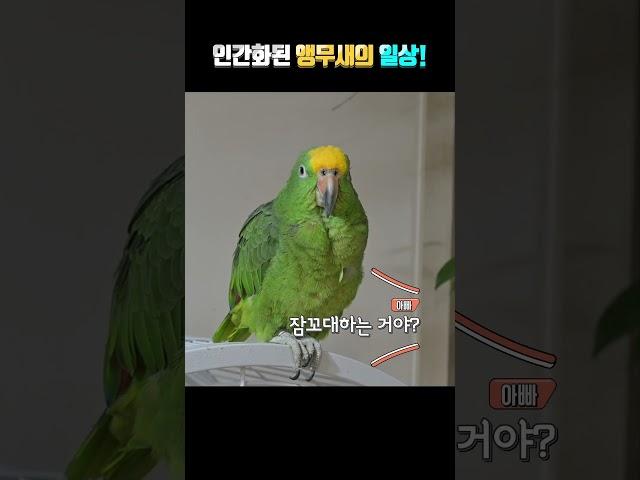 개~졸리다 ㅎㅎ너무 웃겨서 한번 더~갑니다