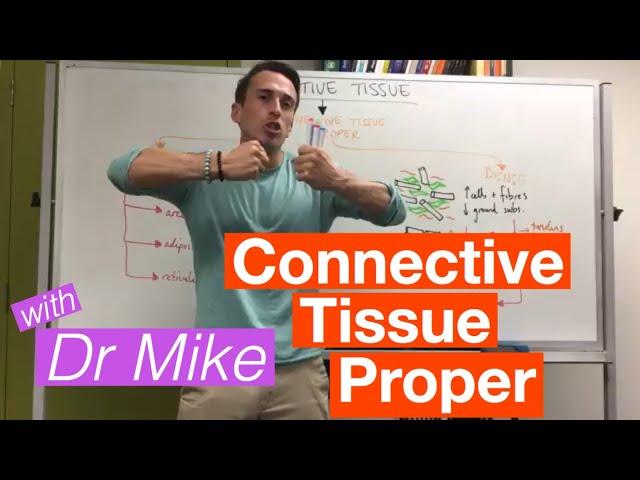 Connective Tissue Proper