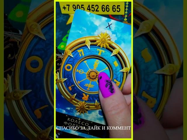  ГОРЯЧИЕ НОВОСТИ!  HOT NEWS!  // tarot card reading