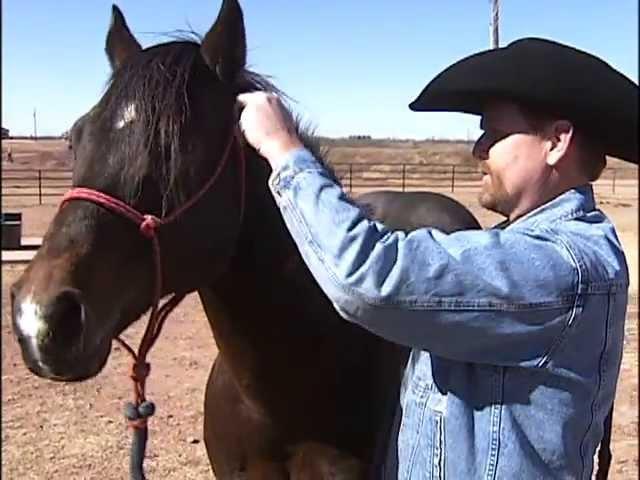 SPECIAL  WAGGONER RANCH