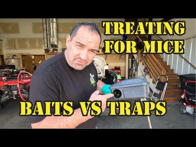 Mouse bait or mouse traps, what one should you use?