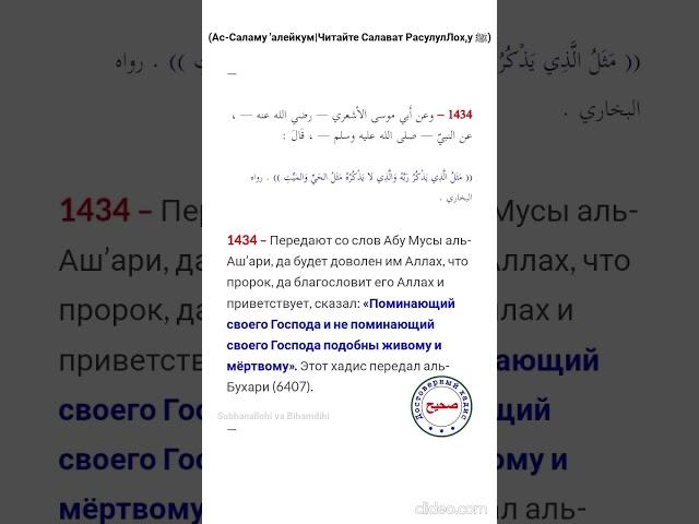 Поминающий своего Господа... (Alhamdulillah|Хвала Аллаху) #сунна #хадис #ислам #иман #дин