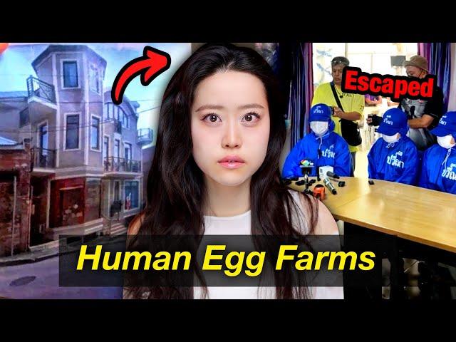 100 Women Kept as Slaves in “Human Egg Farm” For Egg Harvesting