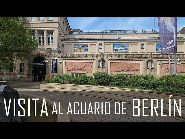 REVIEW: Sobre mi visita al acuario de Berlín