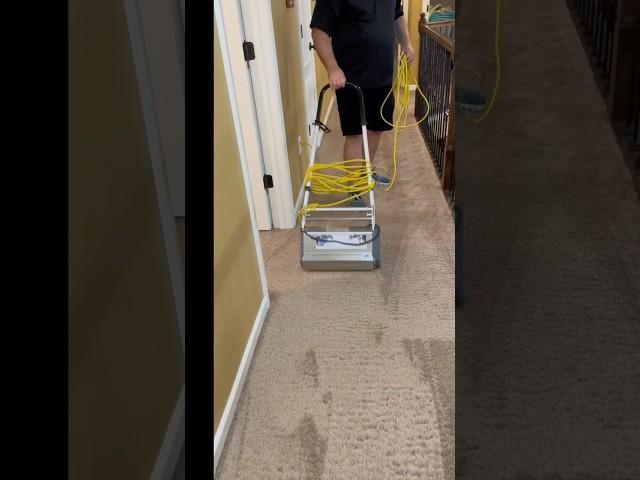 Carpet cleaning in Midland, GA #jetstreamclean #jetstreamclean #jetstreamclean