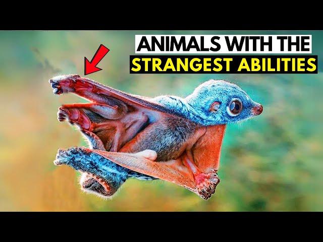 Top 10 Animals With the Strangest Abilities