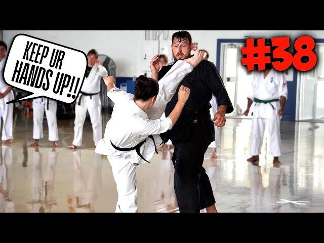 What I Learned from 43 Martial Arts