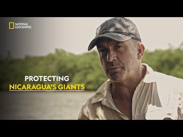 Tarpon Jungle Quest | Last Of The Giants: Wild Fish | हिंदी | Full Episode | S2 - E5 | Nat Geo