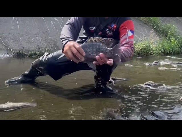 Amazing Fishing Spot , New Fishing Videos