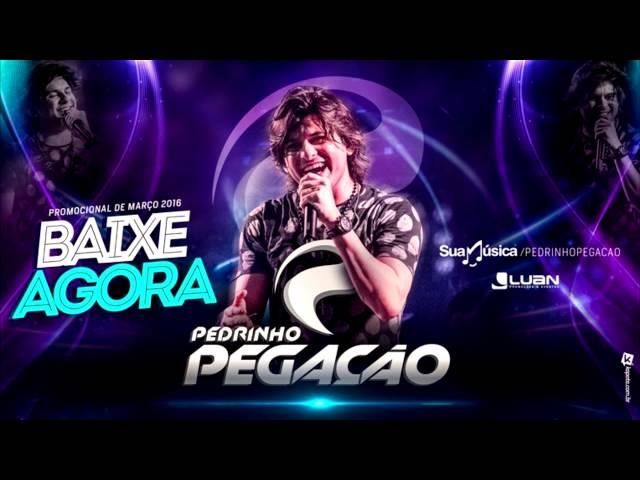 Pedrinho Pegação - CD Promocional Março 2016