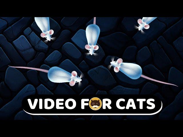 CAT GAMES - White Mice! Mouse Video for Cats | CAT & DOG TV.