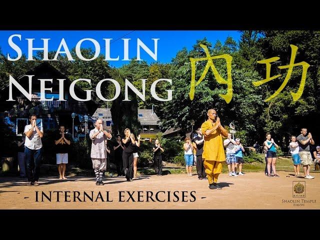 Shaolin Neigong (內功) · Internal exercises