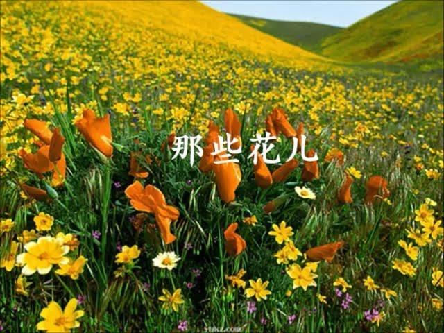 那些花儿    朴树