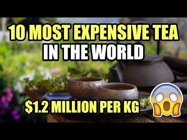 10 Most EXPENSIVE TEA in the WORLD that Will SHOCK YOU 