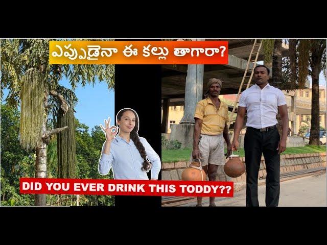 Jeelugu Kallu - Traditional Tribal Wine || జీలుగు క‌ల్లు @hyderabad || 6 KMs from LB Nagar #viral