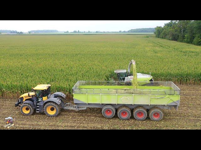 Eastside Dairy Corn Silage Harvest 2020