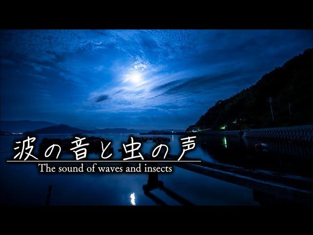 【BGM for restful sleep】 The sound of waves and insects