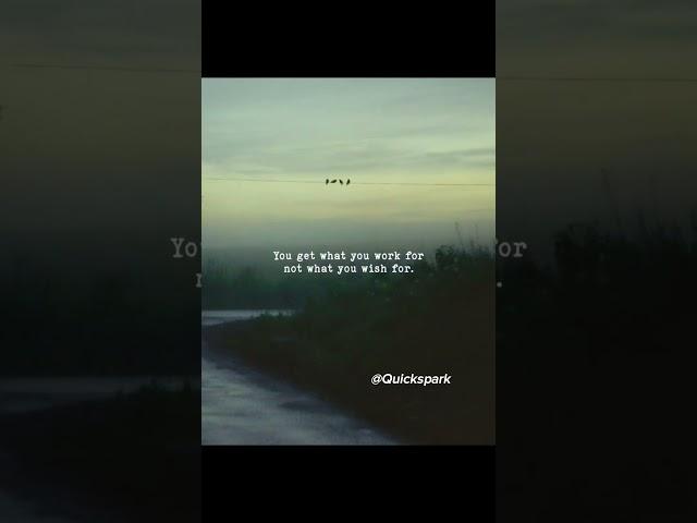Work Beats Wishes Every Time!  | Quickspark #quotes #youtubeshorts #youtube