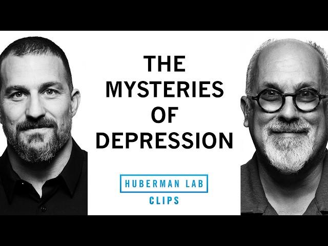 The Complexities of Treating Depression | Dr. David Linden & Dr. Andrew Huberman