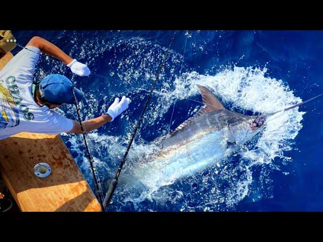 Adventures with CHAOS Sportfishing