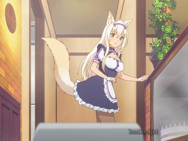 nyaa