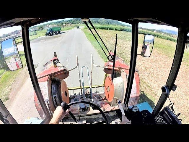 Cab View | Mengele SF 7000 + Kemper Champion 4500 | Mais Silage